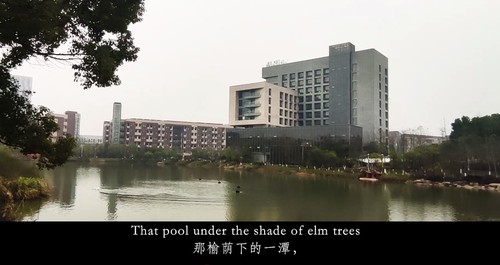 王亦龙同学参赛作品截图
